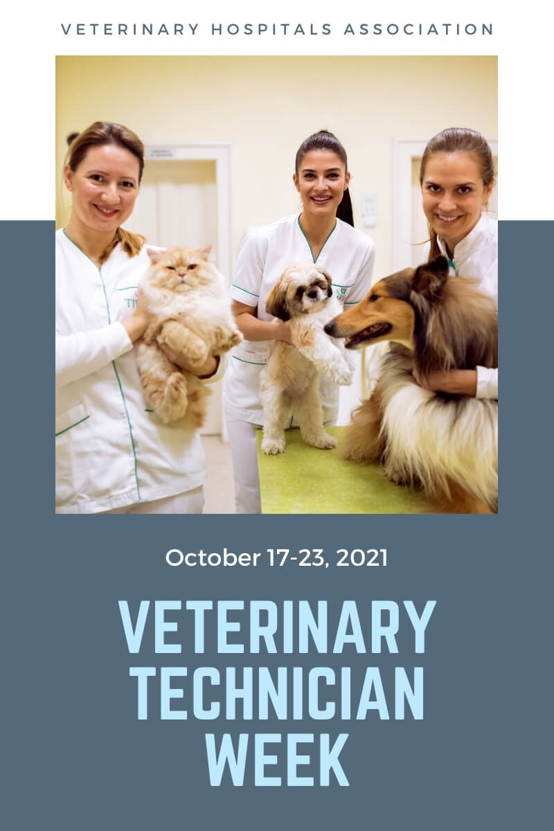 Vet Tech Appreciation Week 1