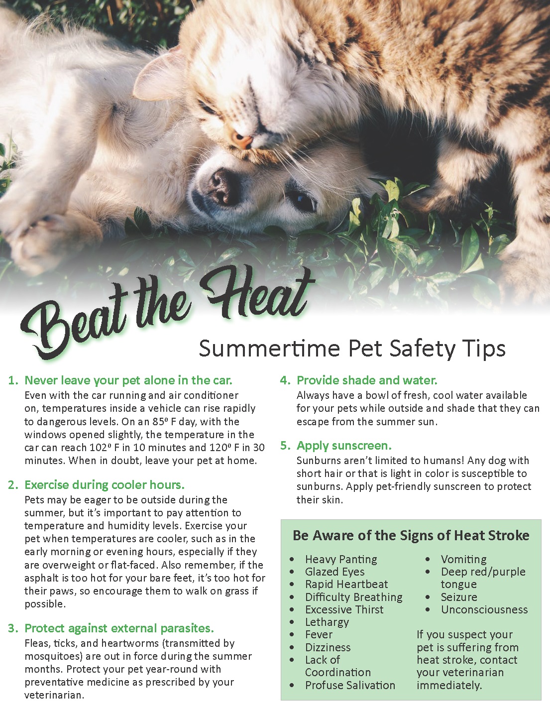 Veterinary Hospitals AssociationBeat the Heat Handout 2021