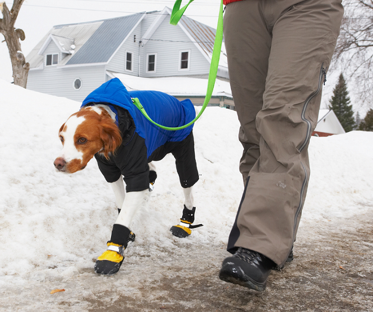 Winter Curbside Care Veterinary VHA Blog