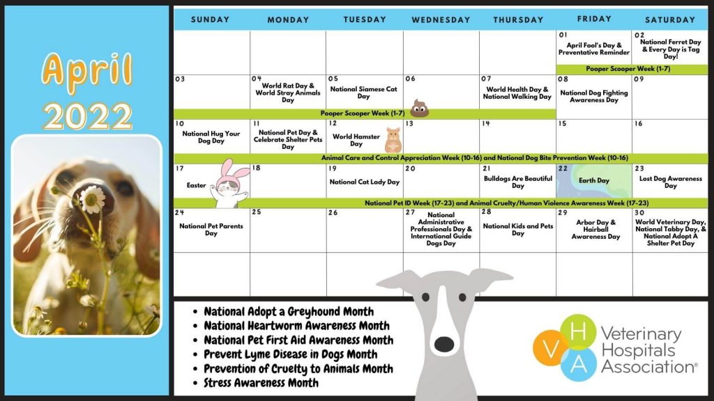 A calendar listing pet events for the month of April