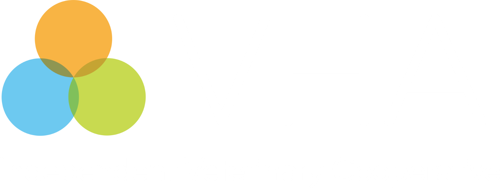 vetsource-veterinary-hospitals-association