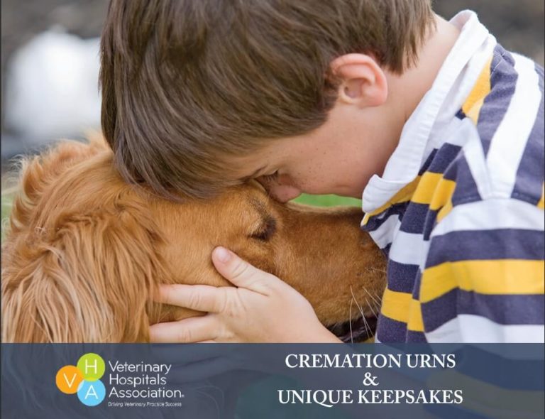 Cremation Services – Veterinary Hospitals Association