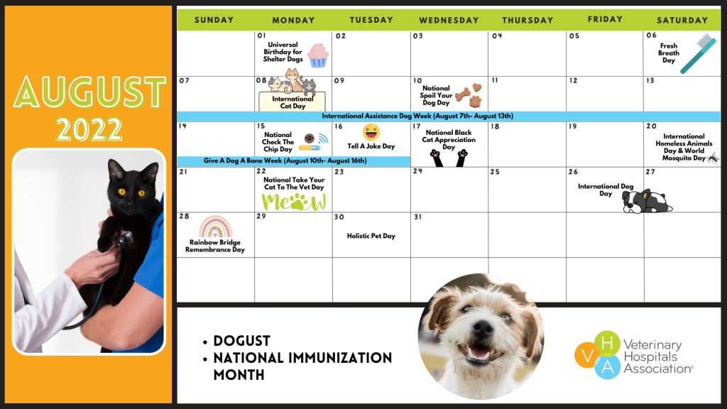 Calendar of pet-related holidays and events in August