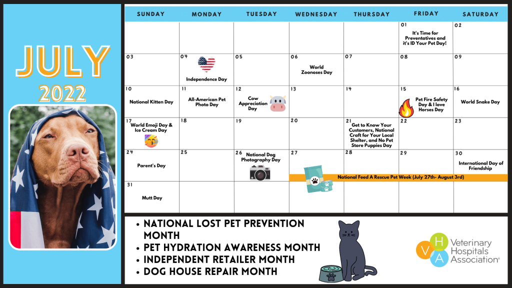 Calendar of pet related events for social media posts for July
