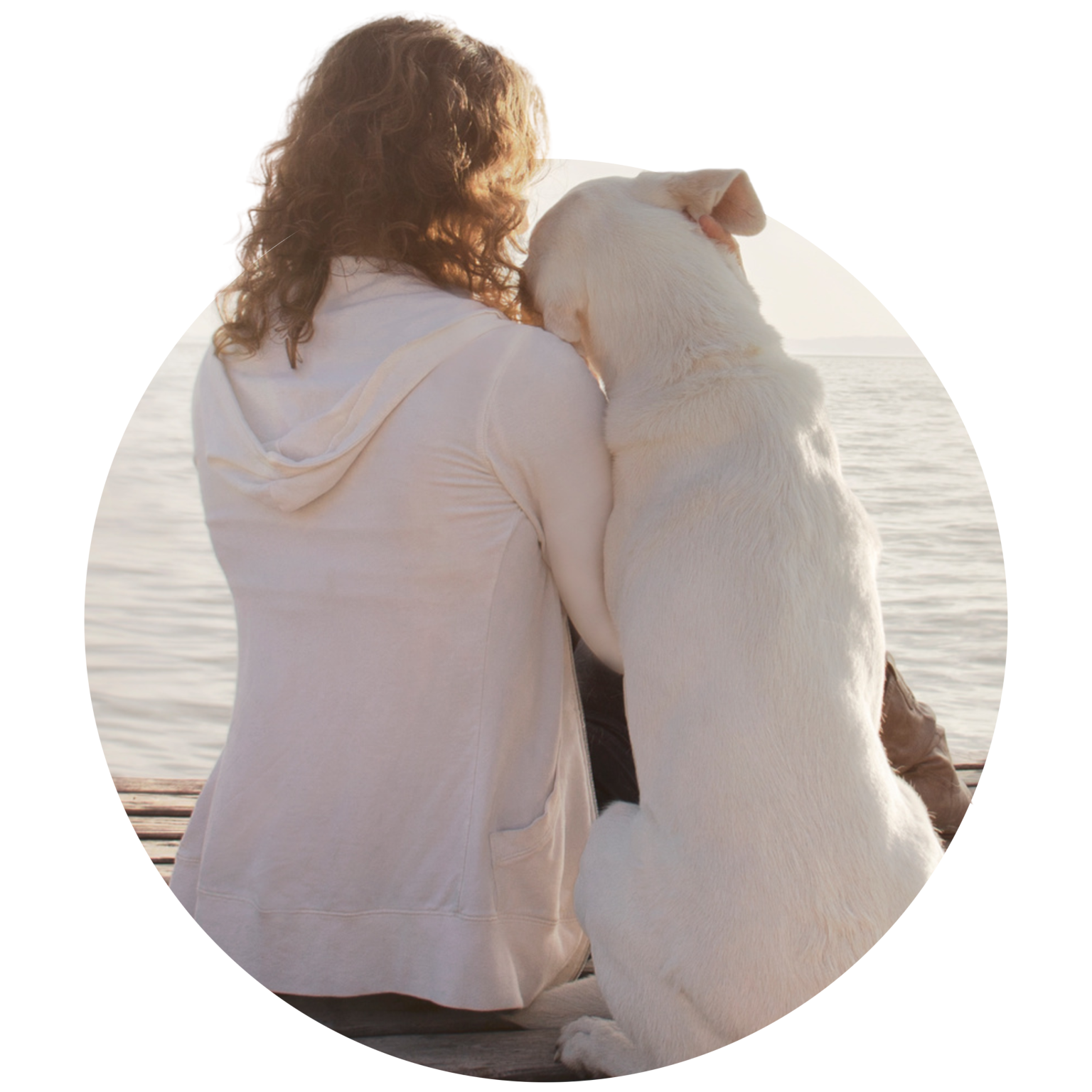 Cremation Services Veterinary Hospitals Association