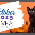 Fall into Social Media Success: October Strategies For Veterinary Clinics