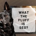 What The FLUFF is SEO?