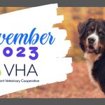 Falling for Social Media: November Strategies for Veterinary Clinics