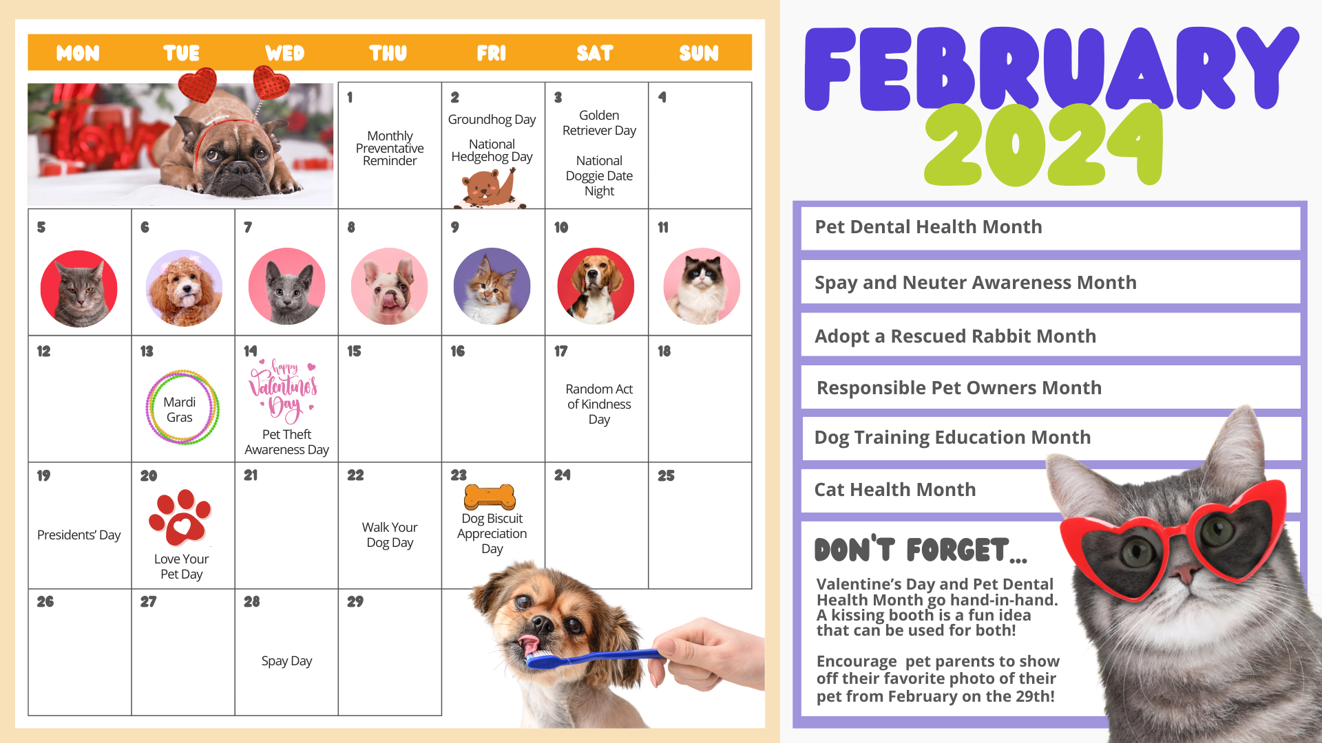 Fall In Love With These February Social Media Ideas For Veterinary   Feb 2024 