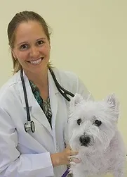 Dr Eisenschenk Pet Dermatologist_edited_