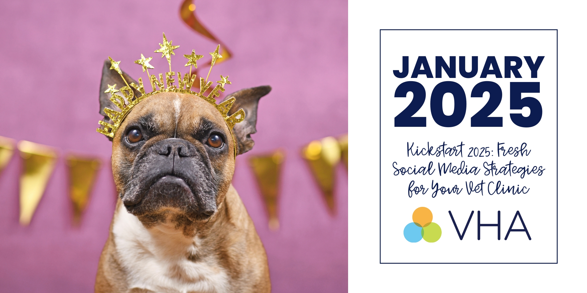 a brown and black french bulldog wearing a happy new year headband on a medium purple background with gold bunting.