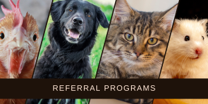 How to Build a Successful Referral Program for Your Veterinary Clinic