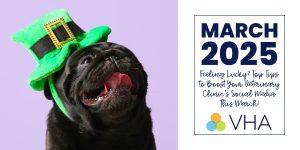 Feeling Lucky? Top Tips to Boost Your Veterinary Clinic’s Social Media This March!