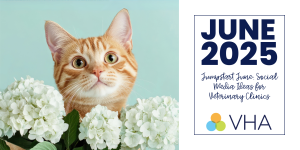 Jumpstart June: Social Media Ideas for Veterinary Clinics