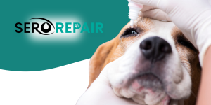SeroLube: The Game-Changer in Veterinary Eye Care