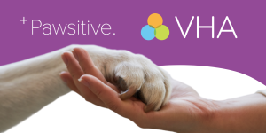 Pawsitive Payments Streamlines Transactions