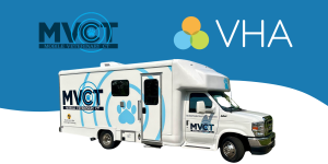 Revolutionizing Veterinary Diagnostics for VHA Clinics