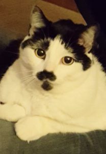 Mushy | Aug 1, 2011 – Nov 5, 2025