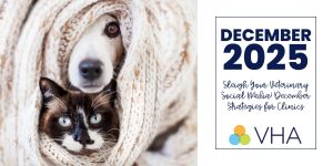 Sleigh Your Veterinary Social Media! December Strategies for Clinics