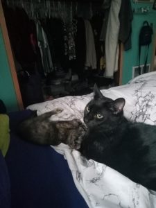 FATBOY | 2012 – Dec 26, 2025