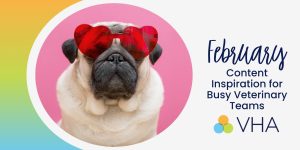 February Content Inspiration for Busy Veterinary Teams