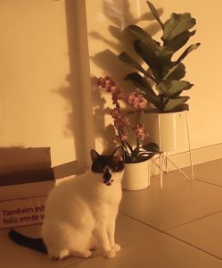 Mia “Mimi” | Dec 3, 2019 – Jan 24, 2026