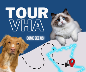 Tour vha!