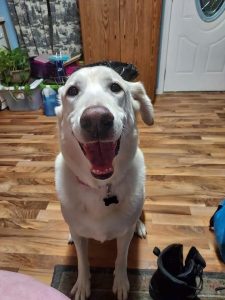 Tux | July 4, 2012 – Dec 1, 2025