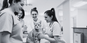 Build a Hospital Where People Speak Up