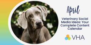 April Veterinary Social Media Ideas: Your Complete Content Calendar