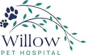 willow-logo-top