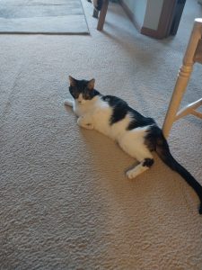 Mr. Pepper | April 13th, 2026