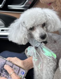 Sophie | June 19, 2006 – May 12, 2026