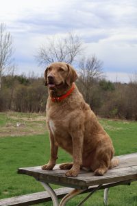Bode Manske | June 18, 2023 – Aug 25, 2026