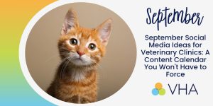 September Social Media Ideas for Veterinary Clinics: A Content Calendar You Won’t Have to Force