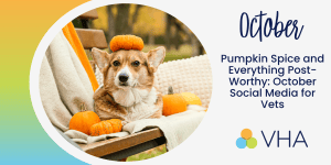 Pumpkin Spice and Everything Post-Worthy: October Social Media for Vets