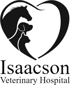 Isaacson-VH-1