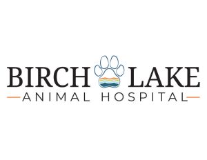 Birch_Lake_Logo_Final